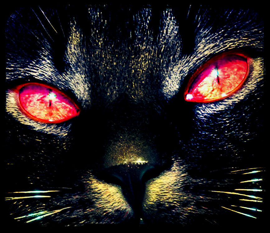 demon+cat.jpg