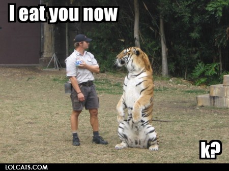 lolcatsdotcombqs7lrsqbj2lzpwk.jpg